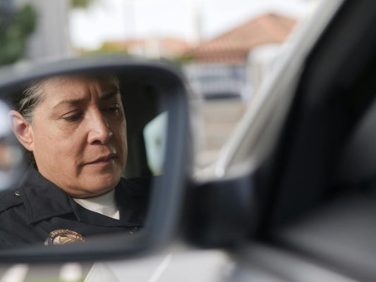 Law enforcement officer inspecting vehicle identification number plate